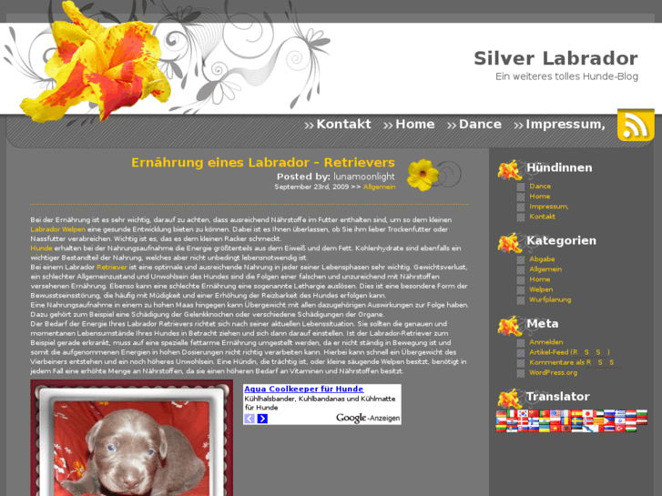 www.silver-labrador.de