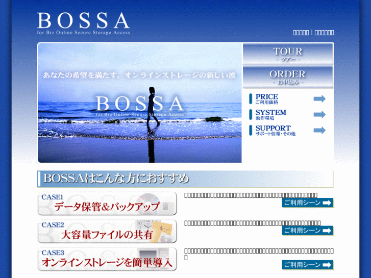 www.bos-sa.com