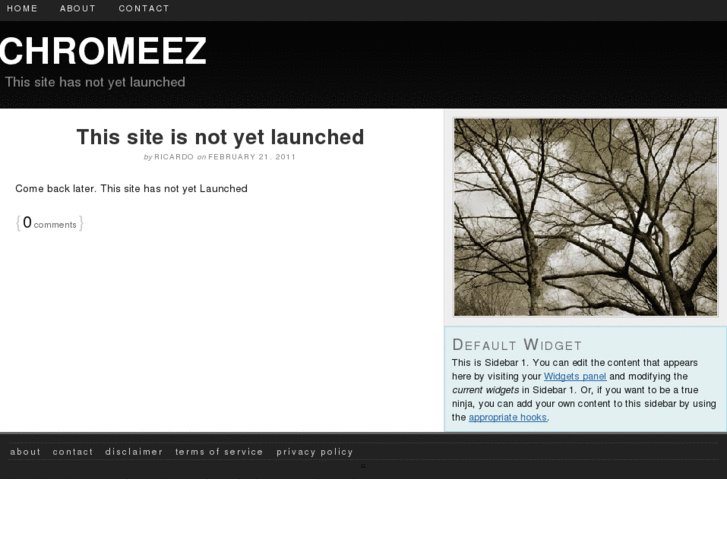 www.chromeez.com