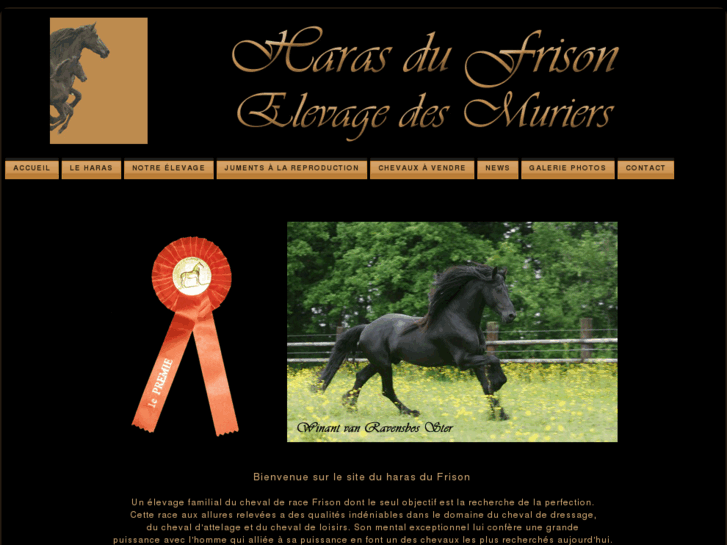 www.haras-du-frison.com