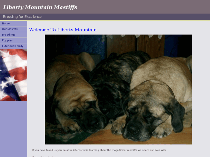 www.libertymountainmastiffs.com