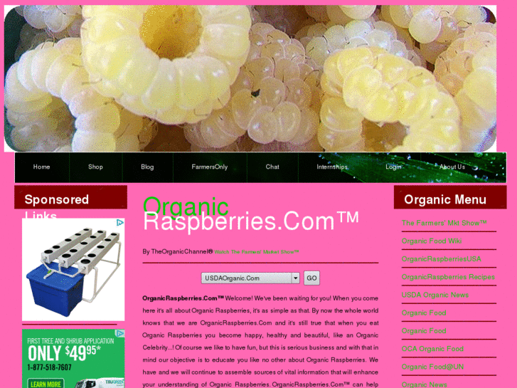 www.organicraspberries.com