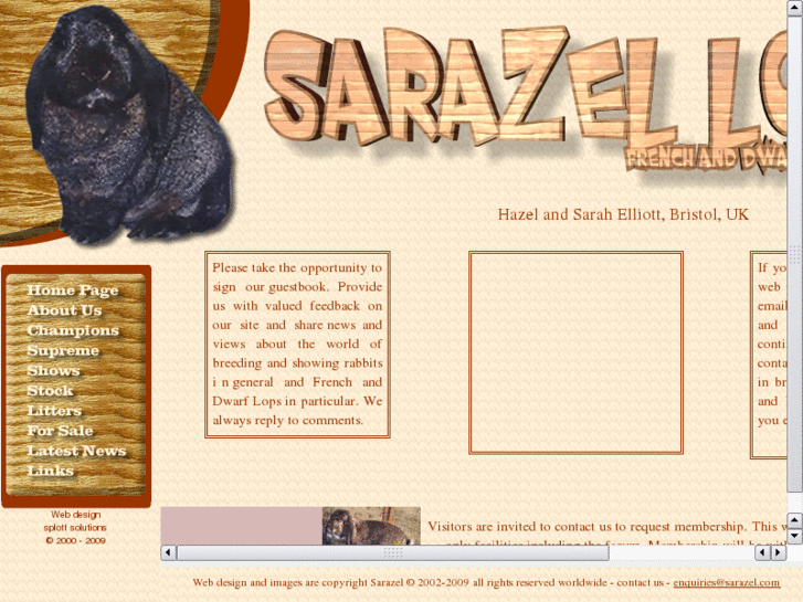 www.sarazel.com
