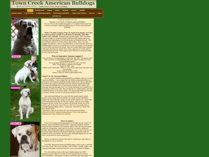 www.towncreekamericanbulldogs.com