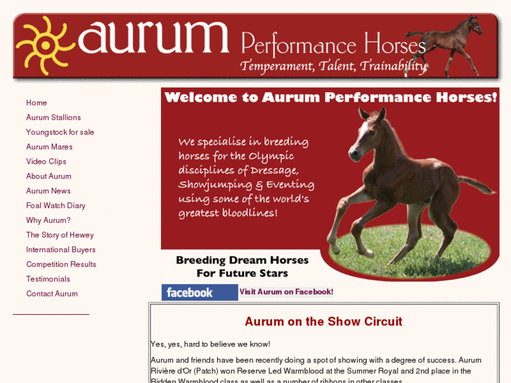 www.aurumperformancehorses.com