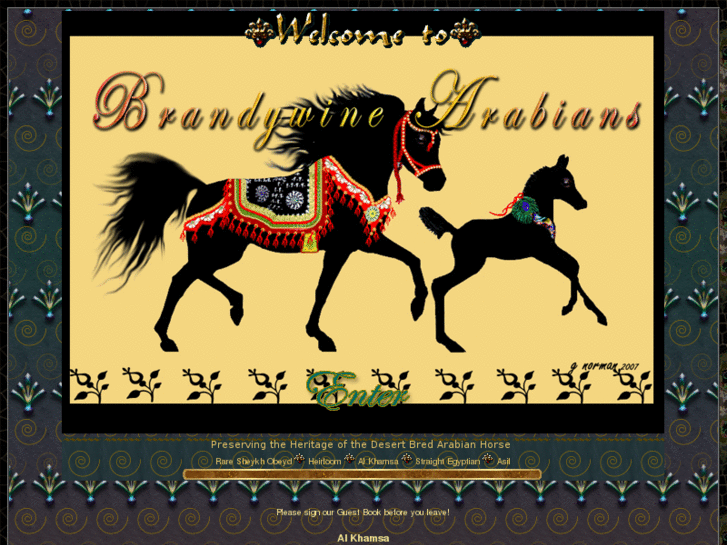 www.brandywinearabians.com