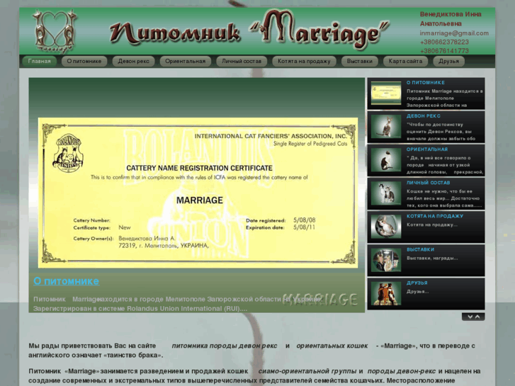 www.catmarriage.com