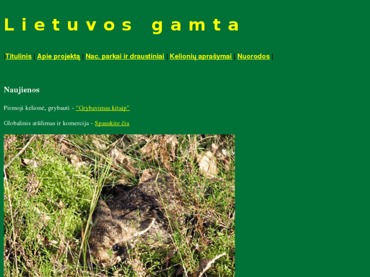 www.lietuvosgamta.com