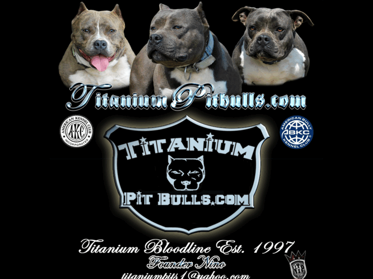 www.titaniumpitbulls.com