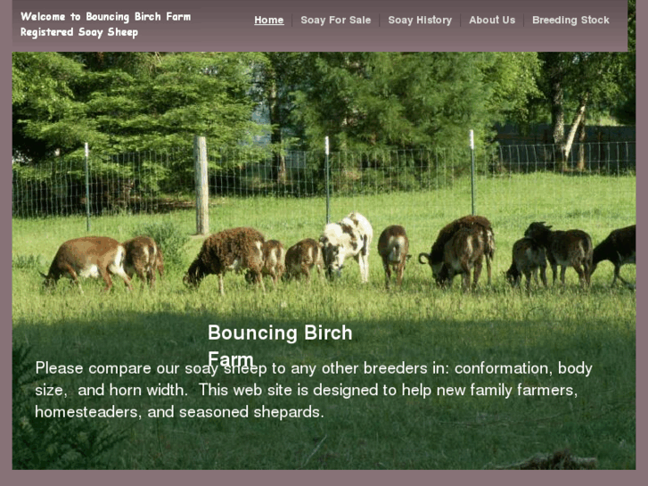 www.bouncingbirchfarm.com