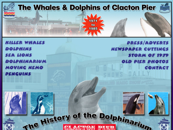 www.clactondolphins.co.uk