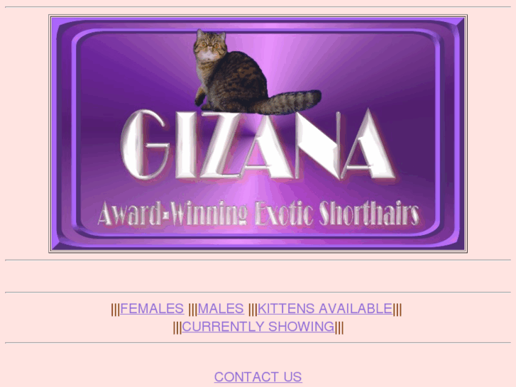 www.gizana.com