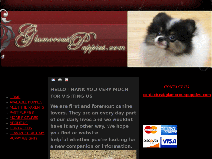 www.glamorouspuppies.com