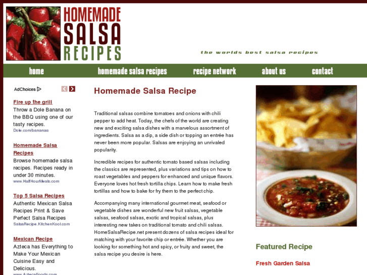 www.homemadesalsarecipe.net