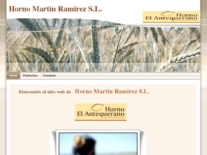 www.hornomartinramirez.com