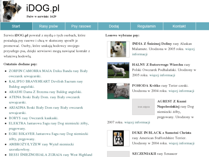 www.idog.pl