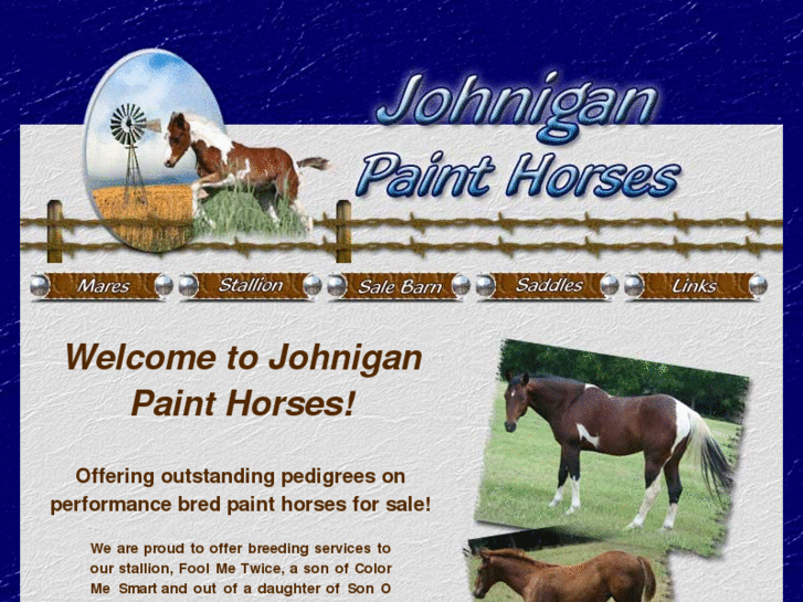 www.johniganpainthorses.com