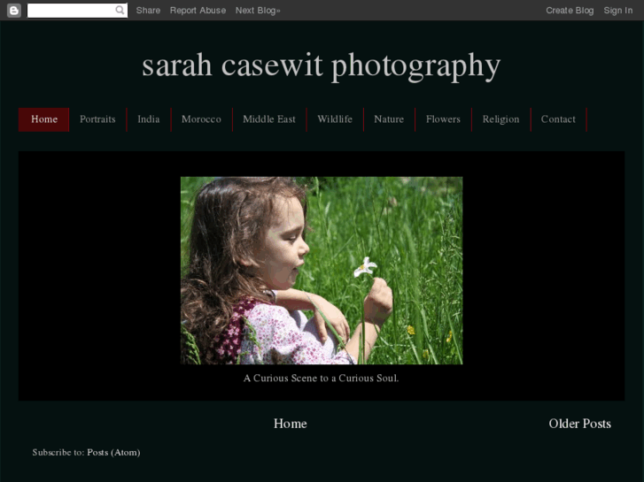 www.sarahcasewit.com