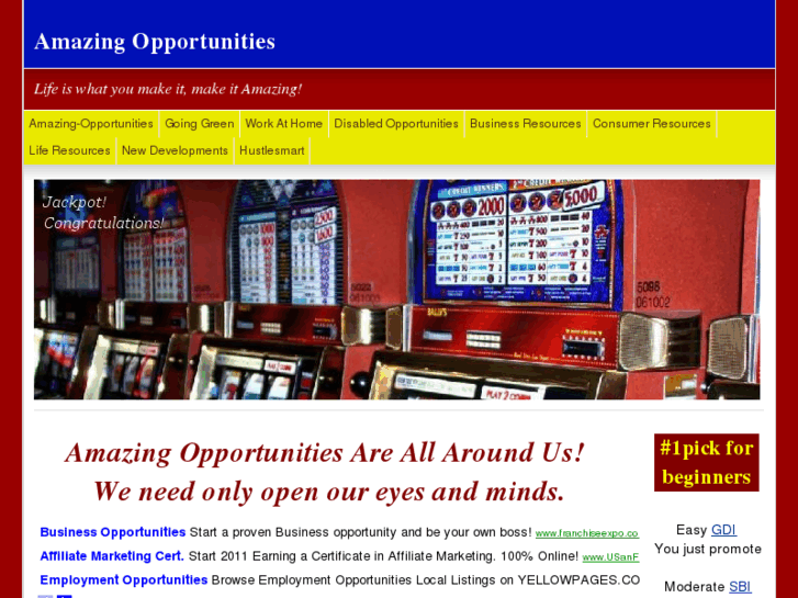 www.amazing-opportunities.com