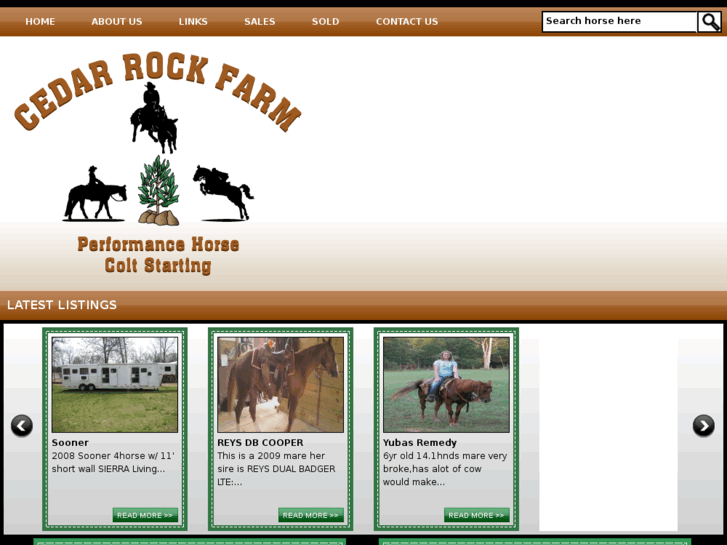 www.cedarrockfarmperformancehorses.com