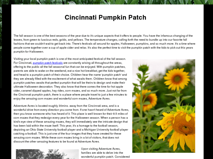 www.cincinnatipumpkinpatch.com