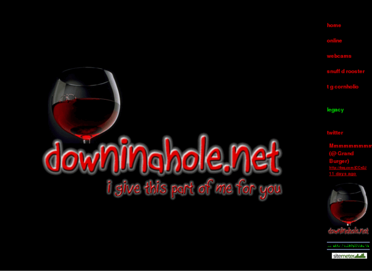 www.downinahole.net