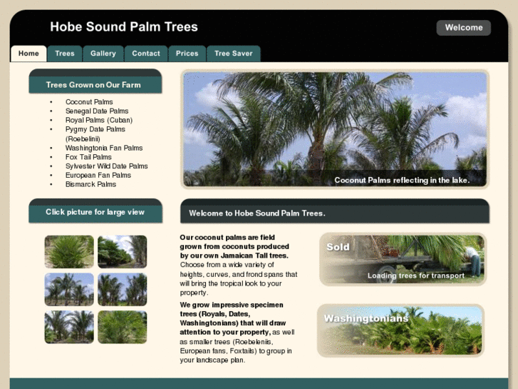 www.hobesoundpalms.com