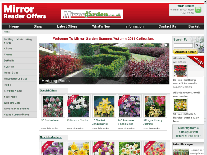 www.mirrorgarden.com