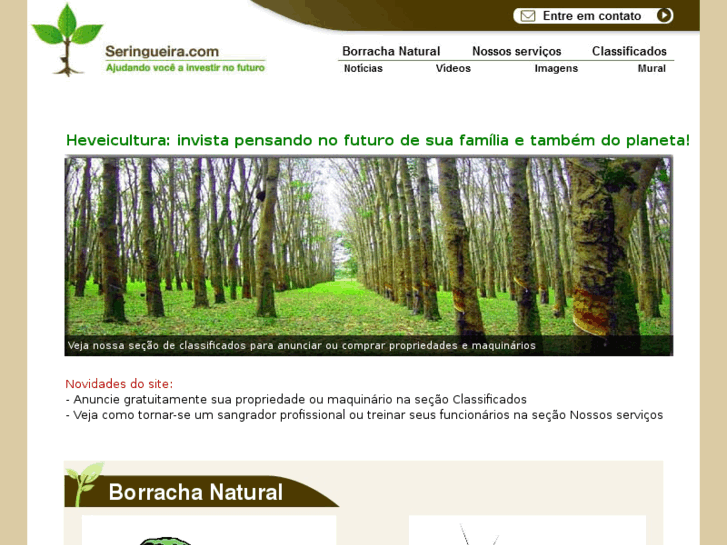 www.seringueira.com