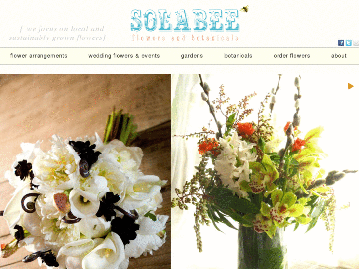 www.solabeeflowers.com