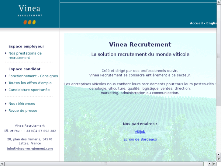 www.vinea-recruitment.com