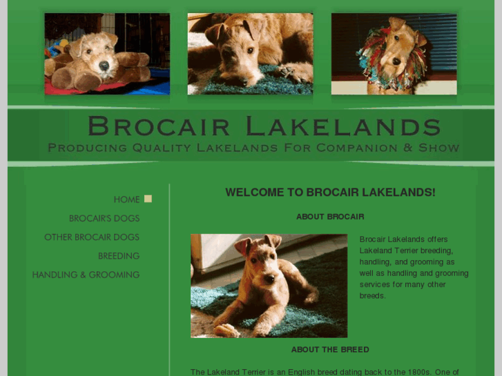 www.brocairlakelands.net