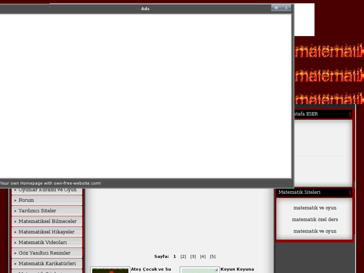 www.matematikveoyun.tr.gg