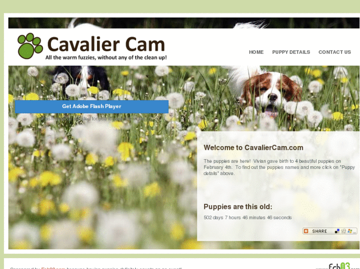 www.cavaliercam.com