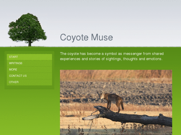 www.coyotemuse.com