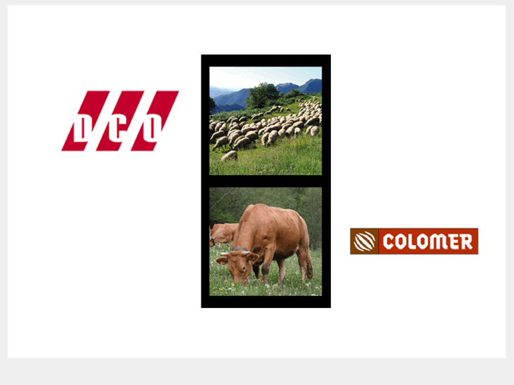 www.jcolomer.com