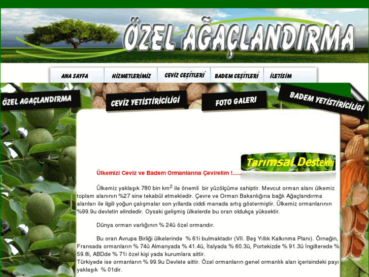 www.ozelagaclandirma.net