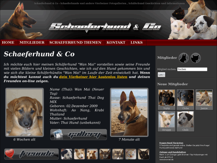 www.schaeferhund-und-co.net