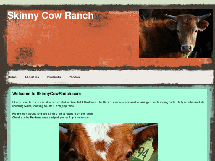 www.skinnycowranch.com