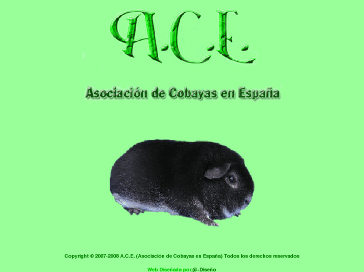 www.acespain.com