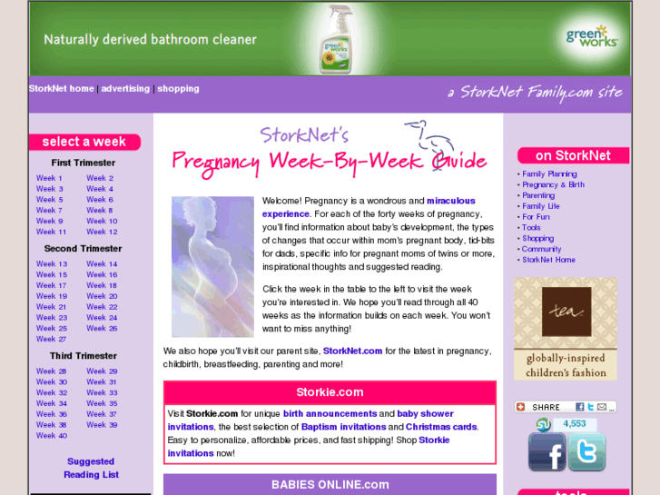 www.pregnancyguideonline.com