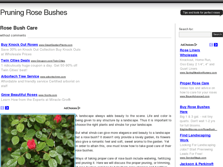 www.pruningrosebushes.net