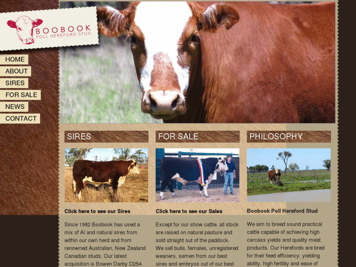 www.boobookherefords.com