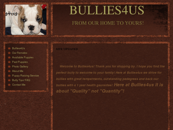 www.bullies4us.com