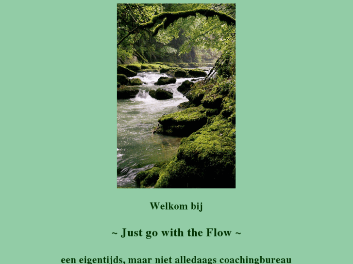 www.justgowiththeflow.info