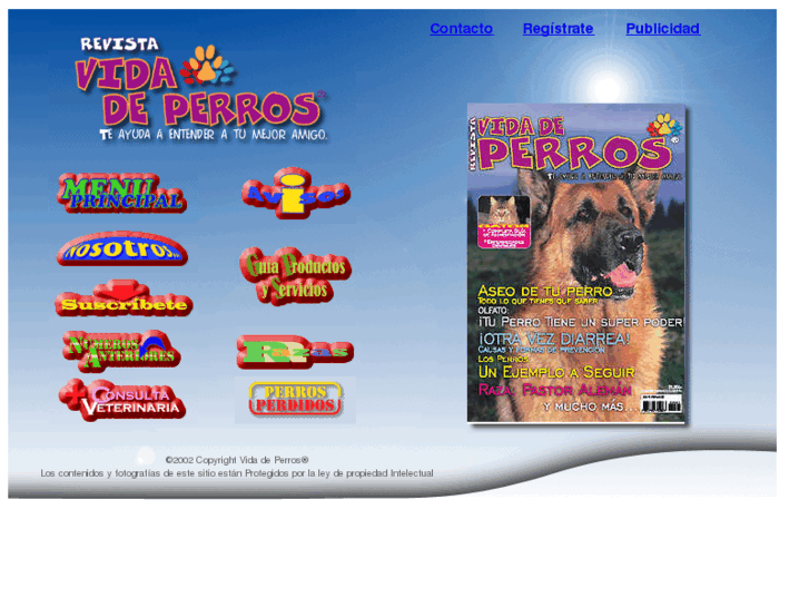 www.vidadeperros.com