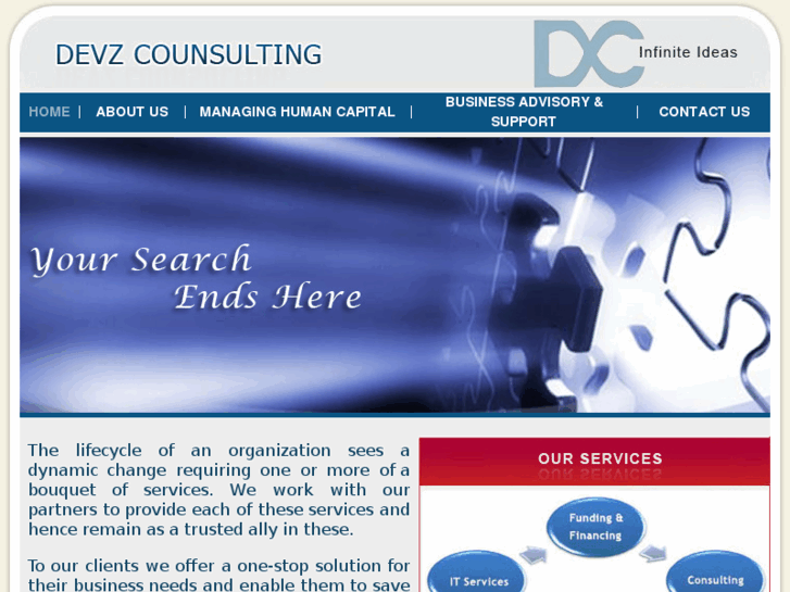 www.devzconsulting.com
