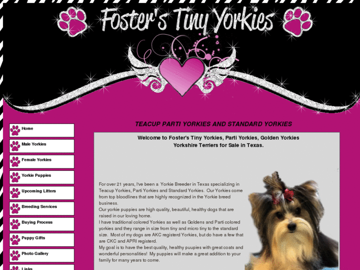 www.fosterstinyyorkies.com