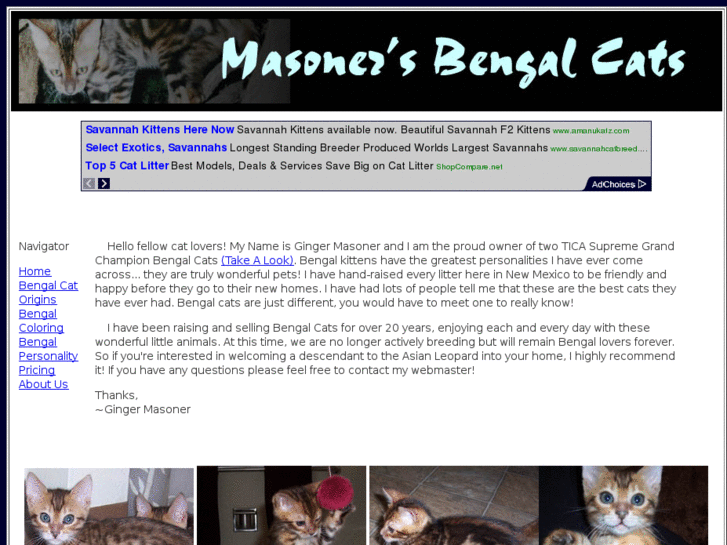 www.masonersbengalcats.com