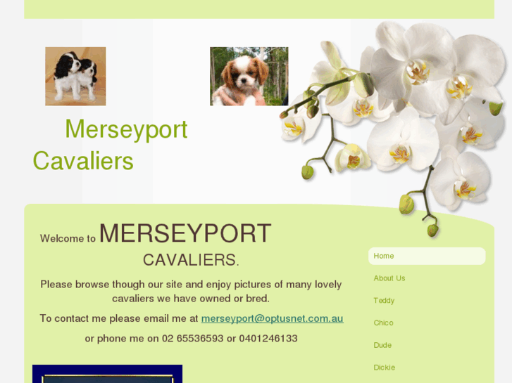 www.merseyportcavaliers.net